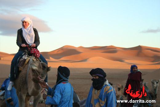 Camelo perto das Dunas de Erg Chebbi - Merzouga, Sul de Marrocos