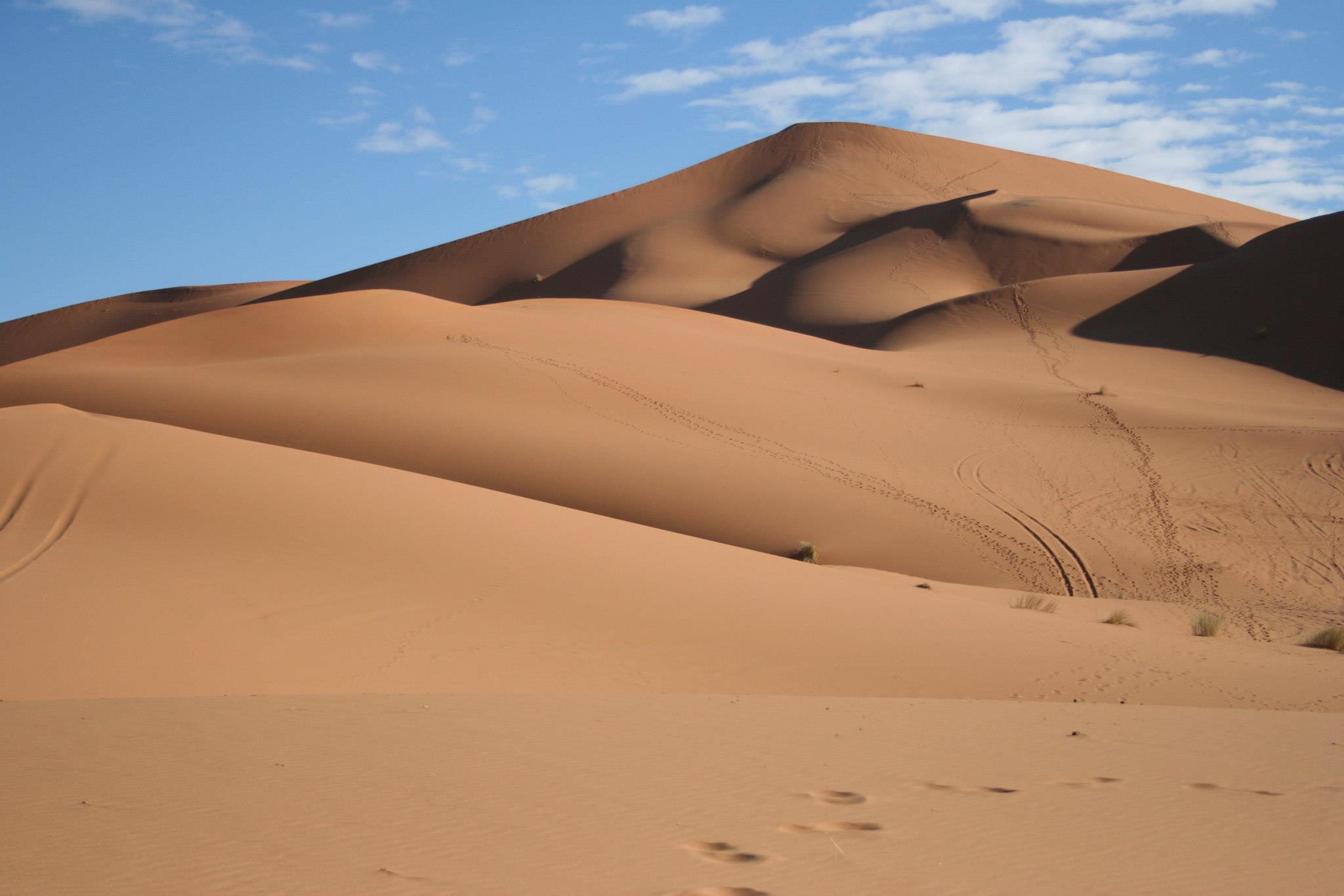 Dunas de Erg Chebbi, Deserto do Saara em Marrocos