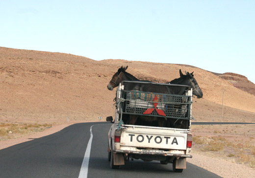 Viajar em Marrocos de Carro, Conduzir em Marrocos