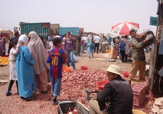 Ir às compras ao Mercado em Ouarzazate Marrocos