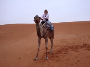 Passeio camelo nas Dunas de Erg Chebbi no Deserto do Saara